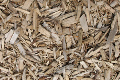 biomass boilers Lanercost